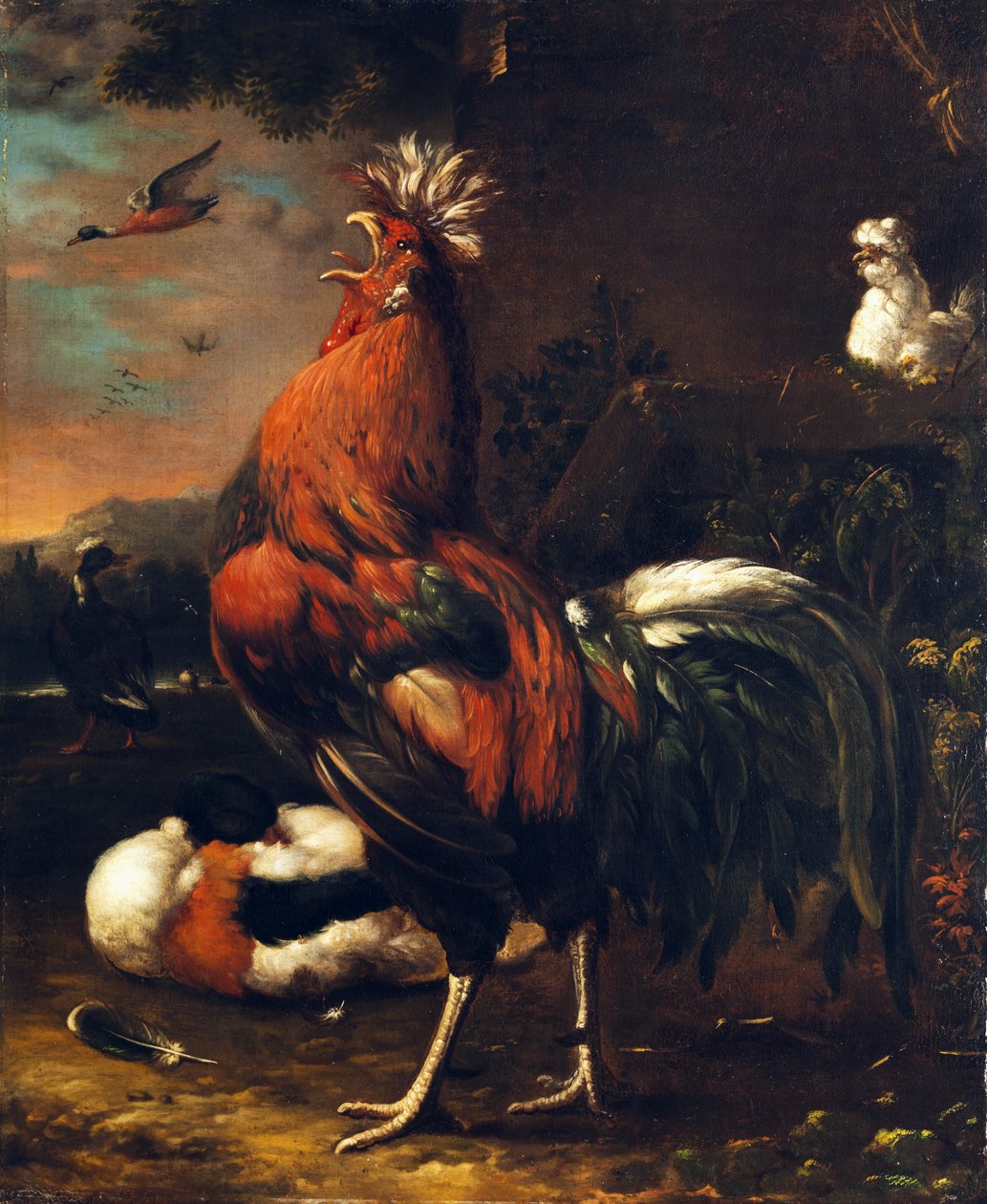 gururlu horoz by Jan van Oolen