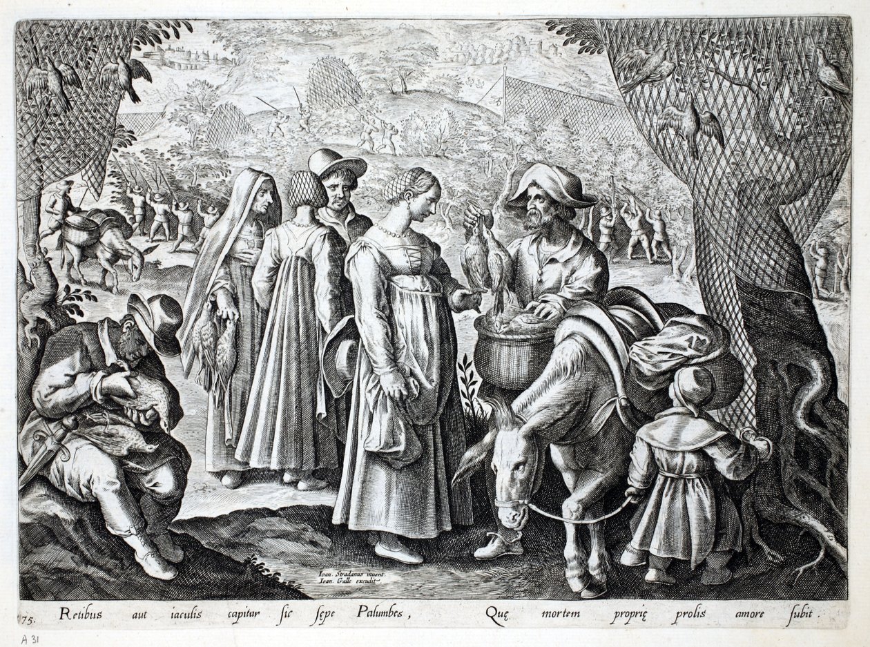 Odun Güvercini satan kuş avcıları, 'Venationes, Ferarum, Avium, Piscium'dan (Avcılık: Yabani Canavarlar, Kuşlar, Balık) çizim, Jan Collaert (1566-1628), pub. tarafından Phillipus Gallaeus, Amst by Jan van der Straet