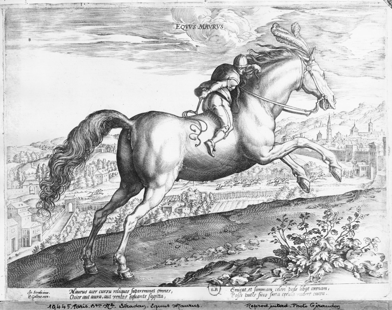 at Moor by Jan van der Straet