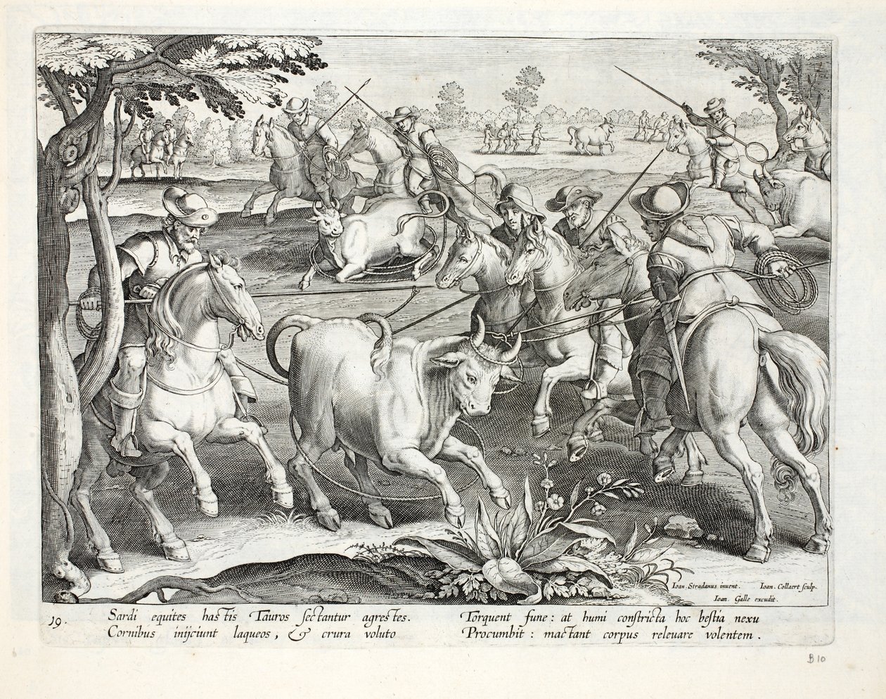 Sardunyalı atlılar boğaları iplerle yakalarlar, Jan Collaert (1566-1628) tarafından oyulmuş 