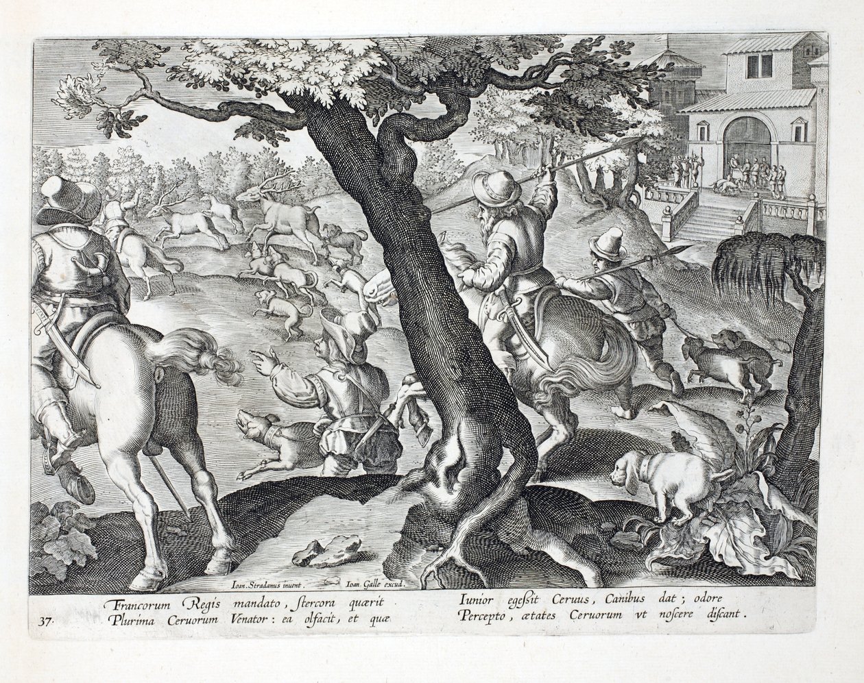 Fransız Kralı geyik avı köpeklerle, 'Venationes, Ferarum, Avium, Piscium'dan (Avlanma: Yabani Canavarlar, Kuşlar, Balık) çizim, Jan Collaert (1566-1628), pub. tarafından Phillipus Gallaeus by Jan van der Straet
