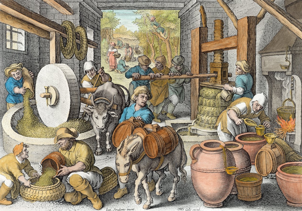 Zeytinyağı Üretimi, Philip Galle (1537-1612) tarafından oyulmuş 'Nova Reperta'dan (Yeni Keşifler) levha 13, c.1600 (daha sonra renklendirme) by Jan van der Straet