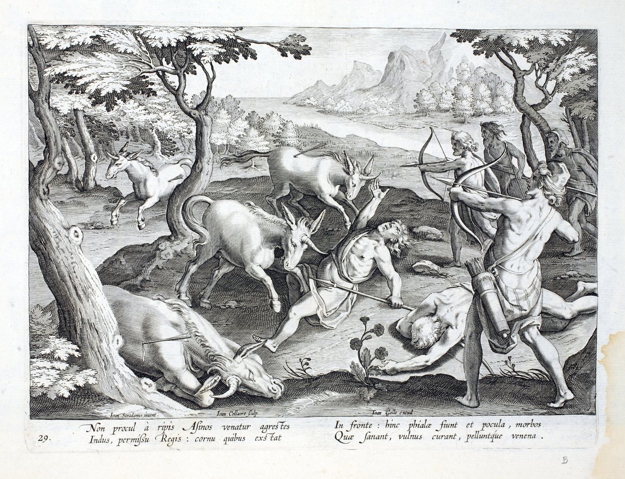 İndus kıyısındaki tek boynuzlu atlar, kralın izniyle avlanır, Jan Collaert (1566-162) tarafından oyulmuş 