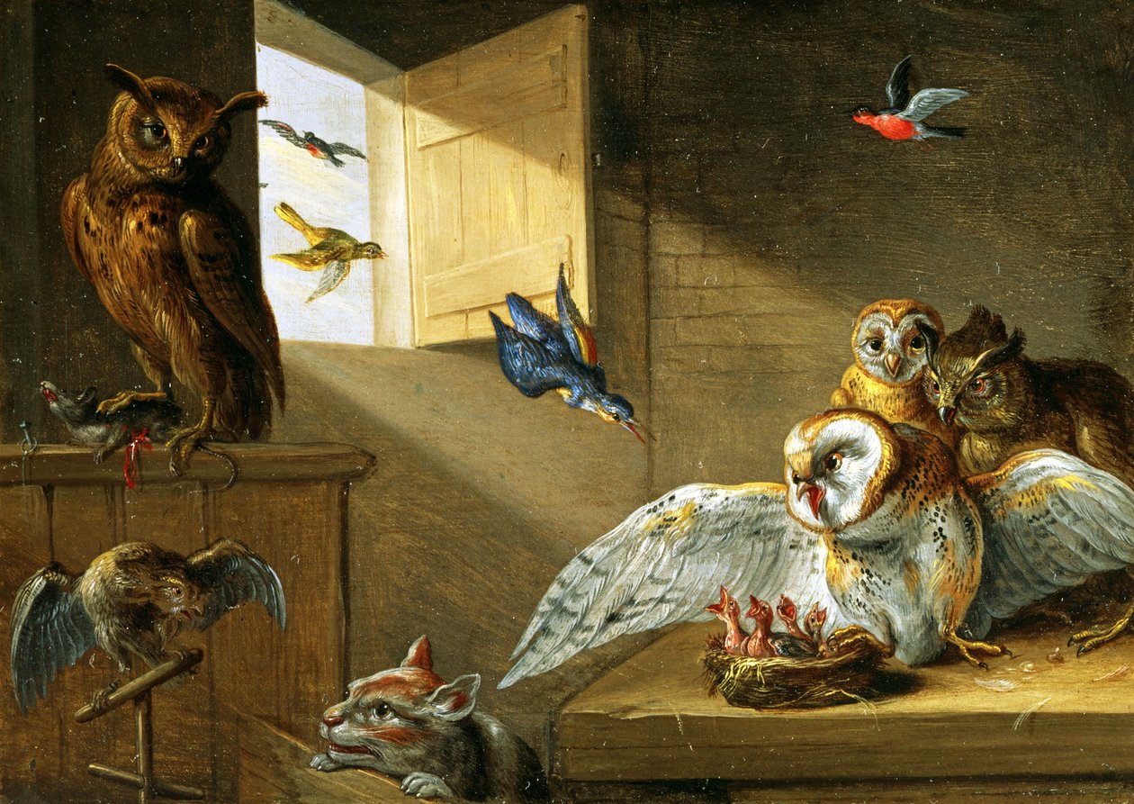 Baykuşlar, Diğer Kuşlar ve Bir Kedi Ailesi (bakır üzerine yağ) by Jan van Kessel the Elder