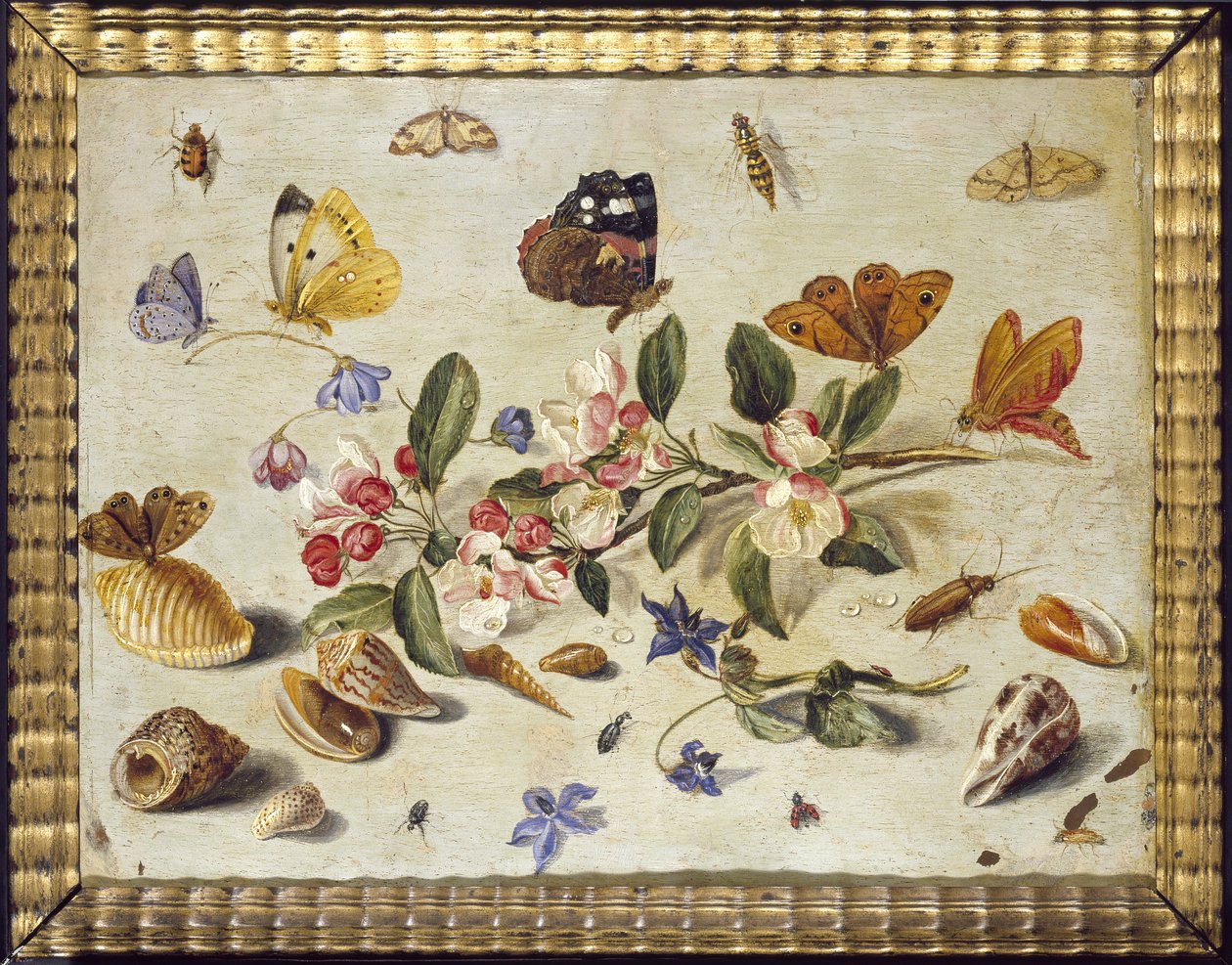 Çiçekler ve Böcekler Üzerine Bir Çalışma (bakır üzerine yağ) by Jan van Kessel the Elder