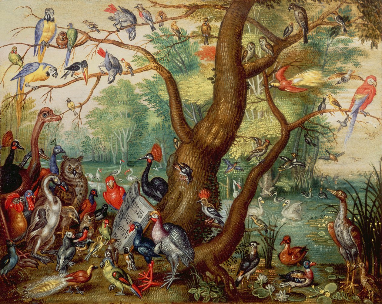 Kuş Konseri (bakır üzerine yağlı boya) by Jan van Kessel the Elder