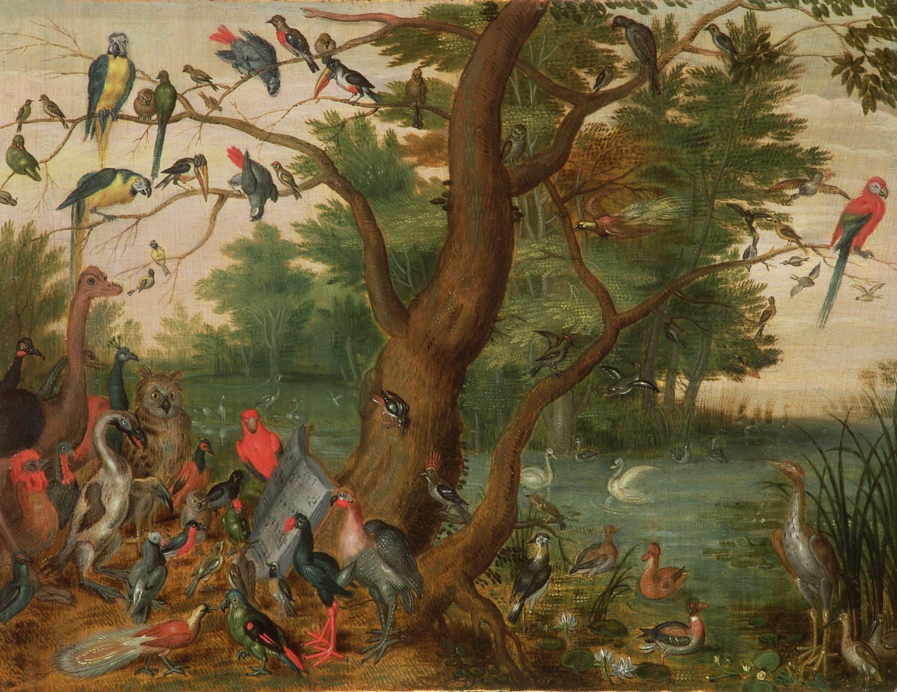 Kuş Konseri (panel) by Jan van Kessel the Elder