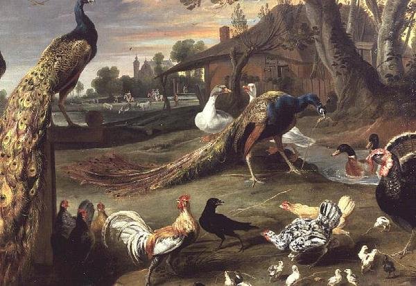 Bir Peyzajdaki Tavus Kuşu ve Diğer Kuşlar by Jan Victors