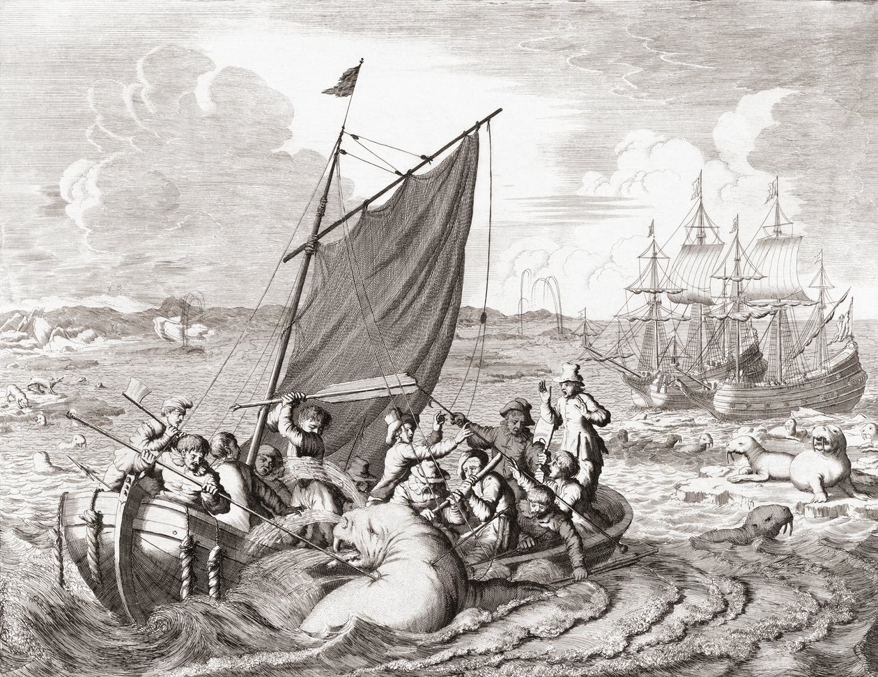 16. yüzyılda mors avcıları (gravür) by Jan (after) Luyken