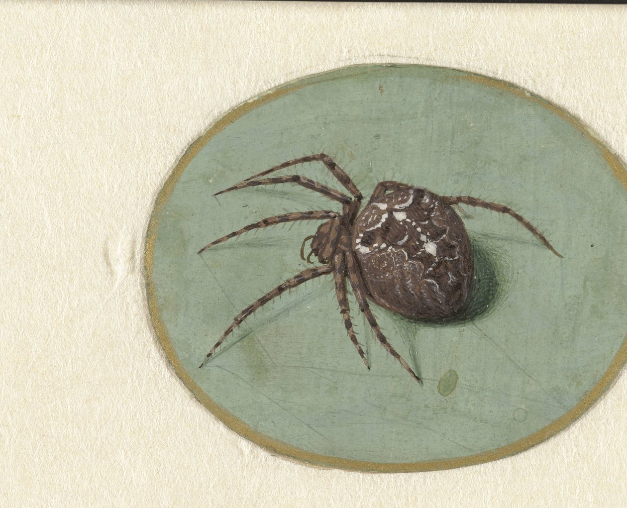 Örümcek by Jan Augustin van der Goes