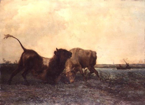 boğa güreşi by Jan Bedys Tom