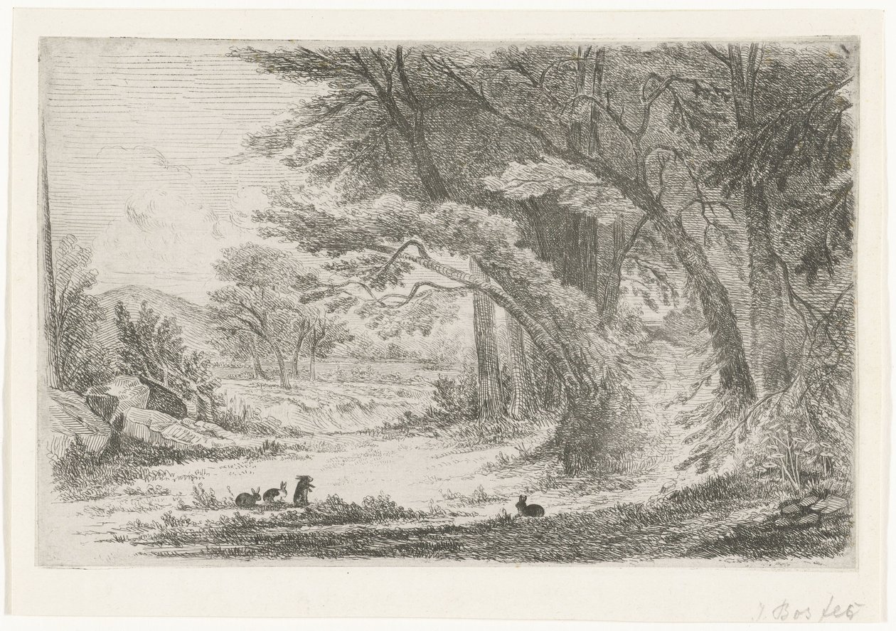Tavşanlar ile orman kenarı by Jan Bos Wz. (signed by artist)