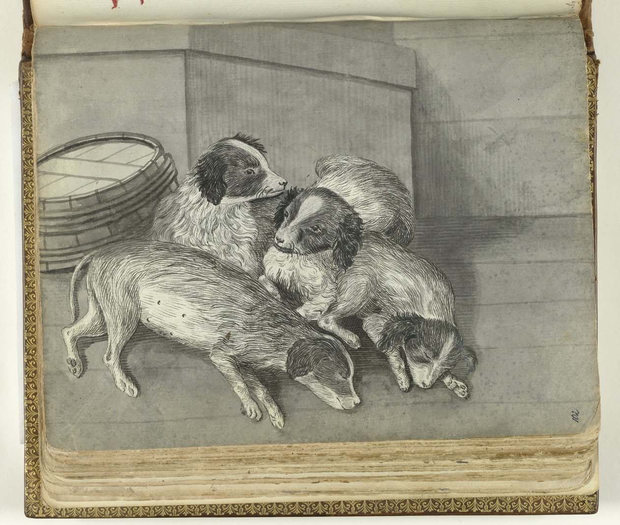 köpekler by Jan Brandes