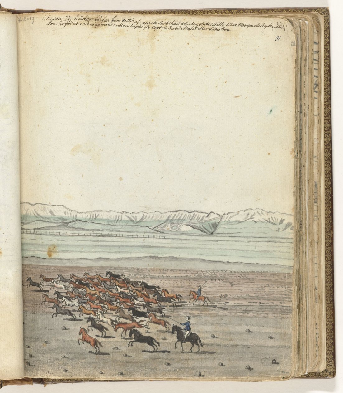 at sürüsü by Jan Brandes