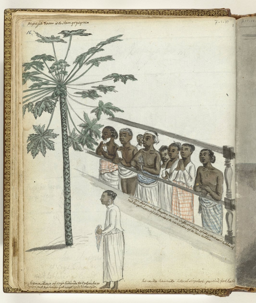 Papaya ağacı, Dessave'de davacılar ve Colombo'da bir 'hennikap' veya ücretsiz hizmetçi by Jan Brandes