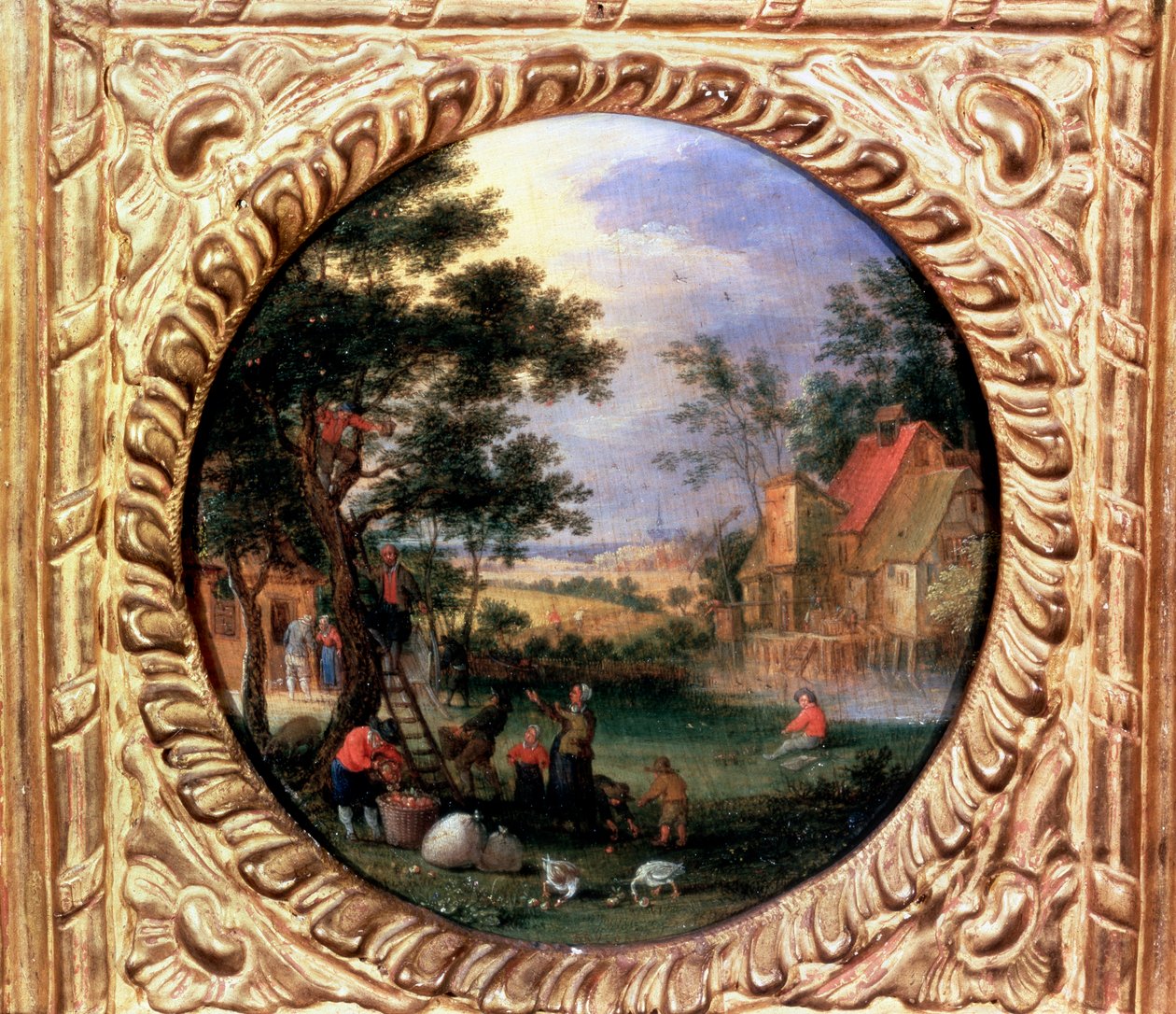 Elma Toplama, 1630