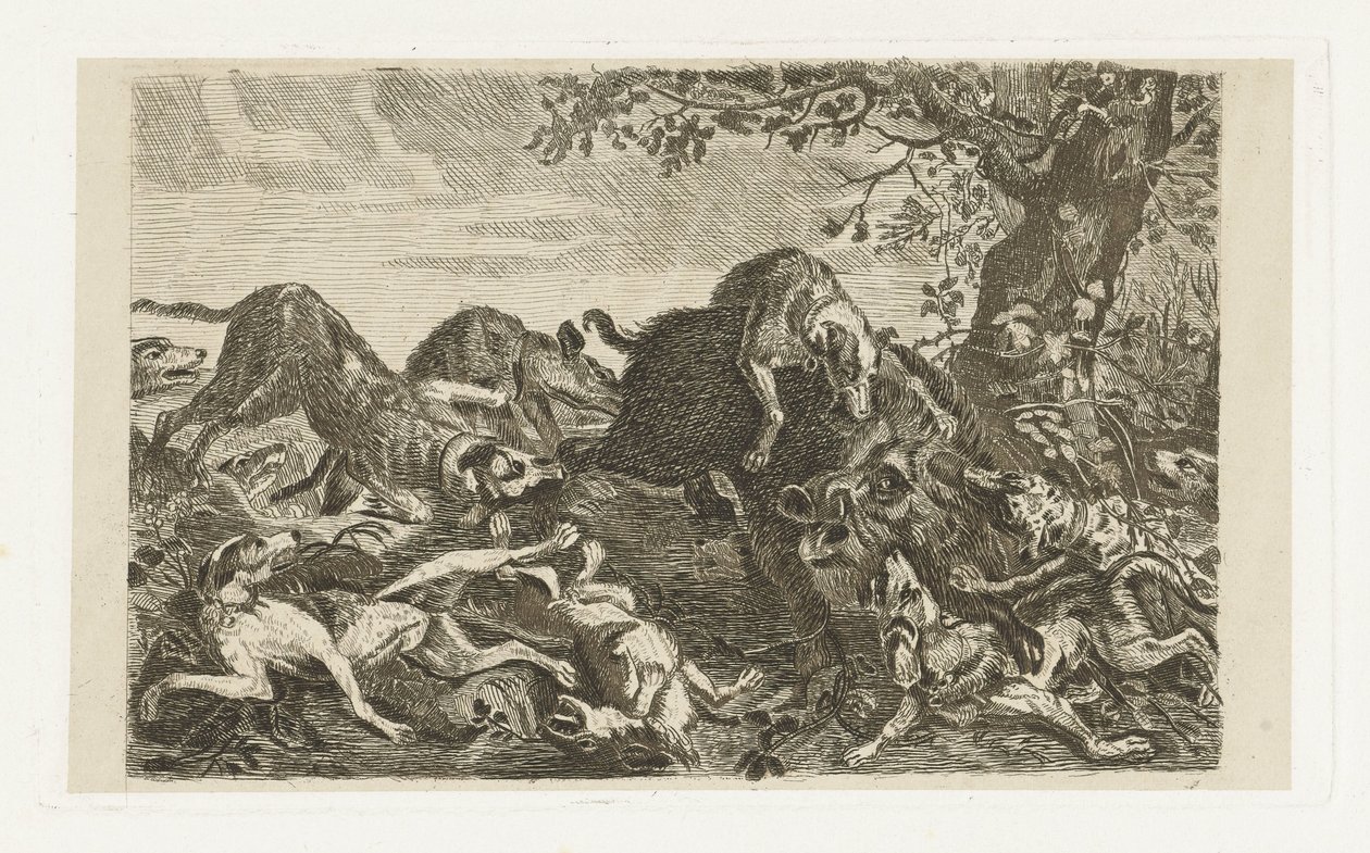 Yaban domuzu için köpek avı by Jan Cassiers