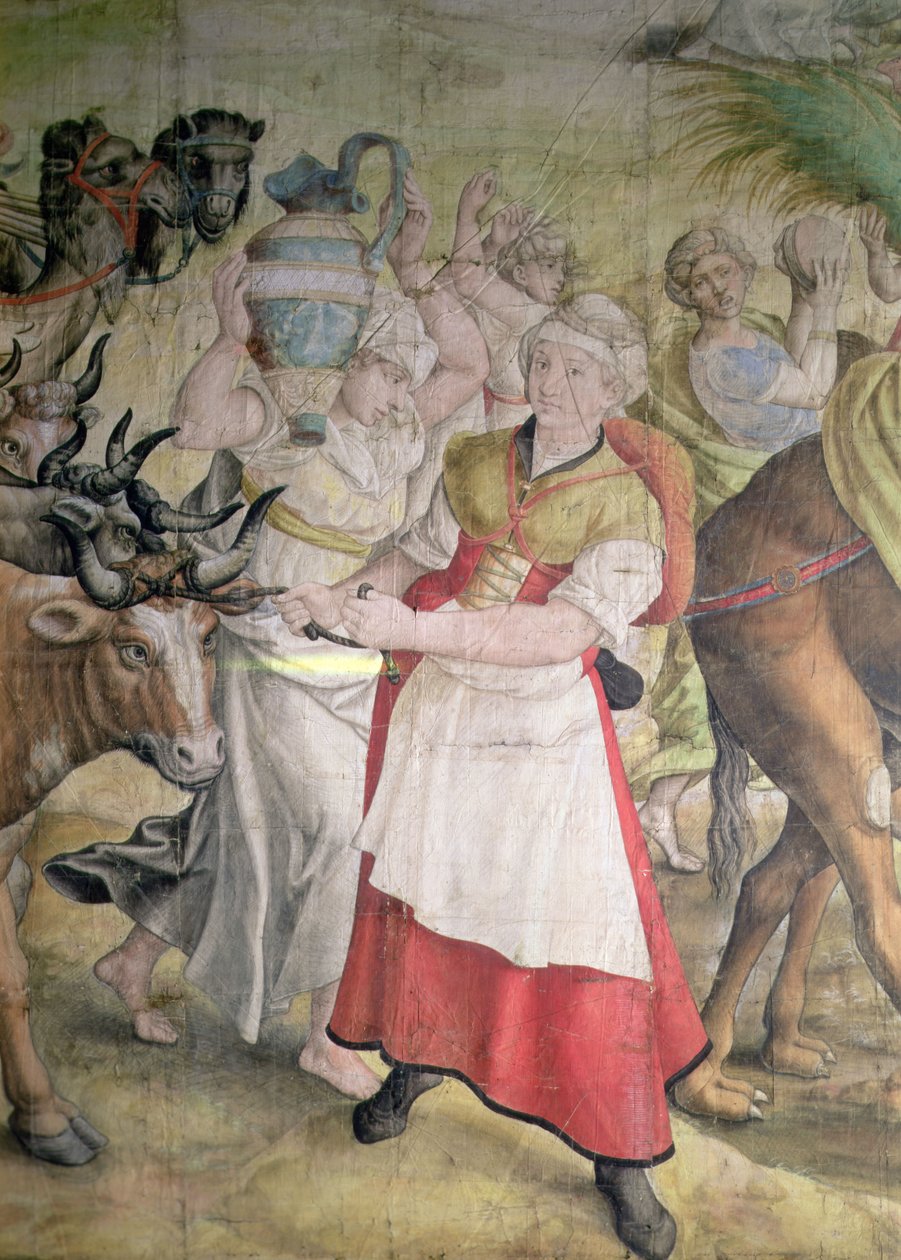 İmparator Charles V Kampanyası by Jan Cornelisz Vermeyen