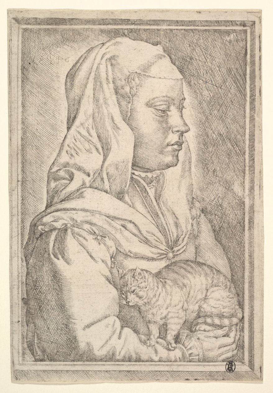 Kedili Kız, 1546. by Jan Cornelisz Vermeyen
