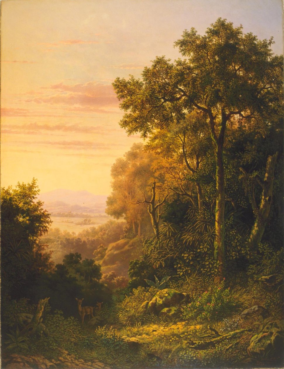  by Jan Daniel Beynon