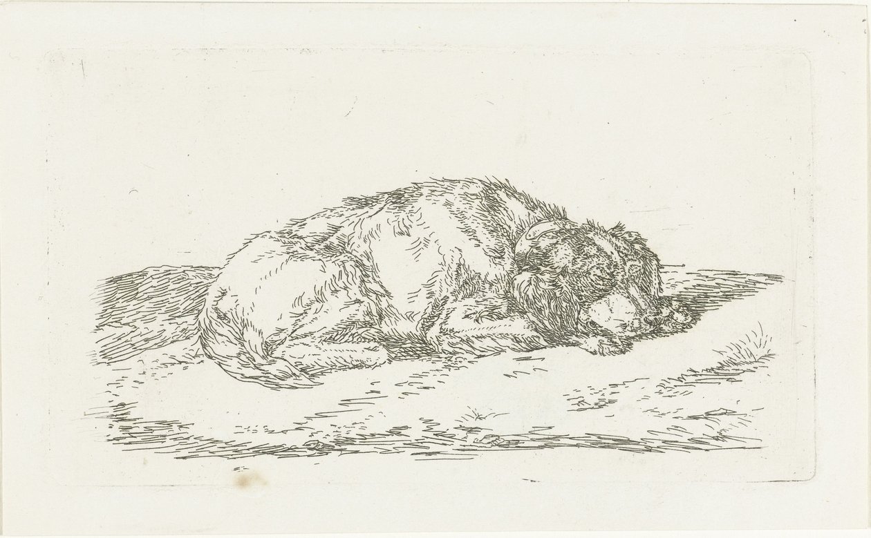 Başı ön ayakları üzerinde duran uyuyan köpek by Jan Dasveldt