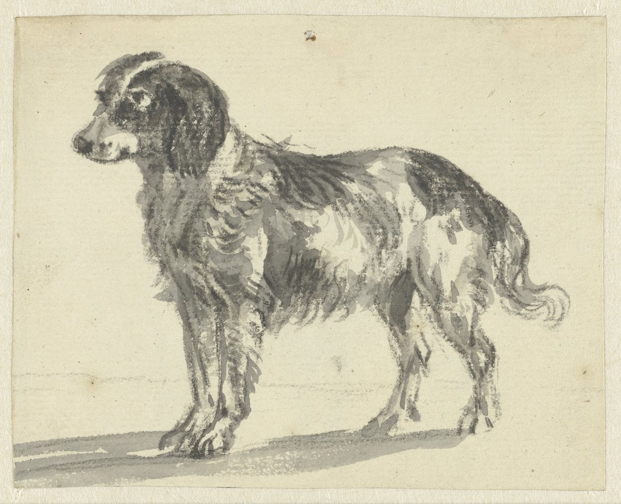 ayakta köpek by Jan Dasveldt