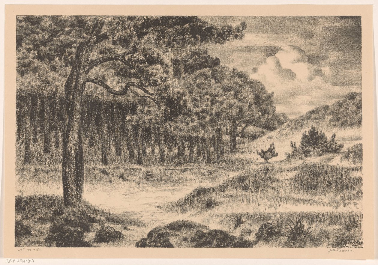 Tepelik bir manzara içinde orman by Jan Fekkes (signed by artist)