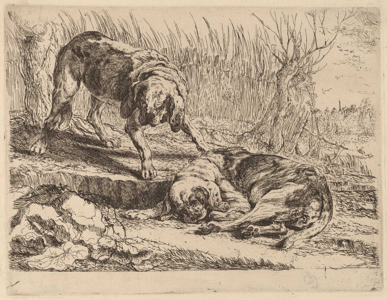 İki Beagle, Bir Uyuyan by Jan Fyt