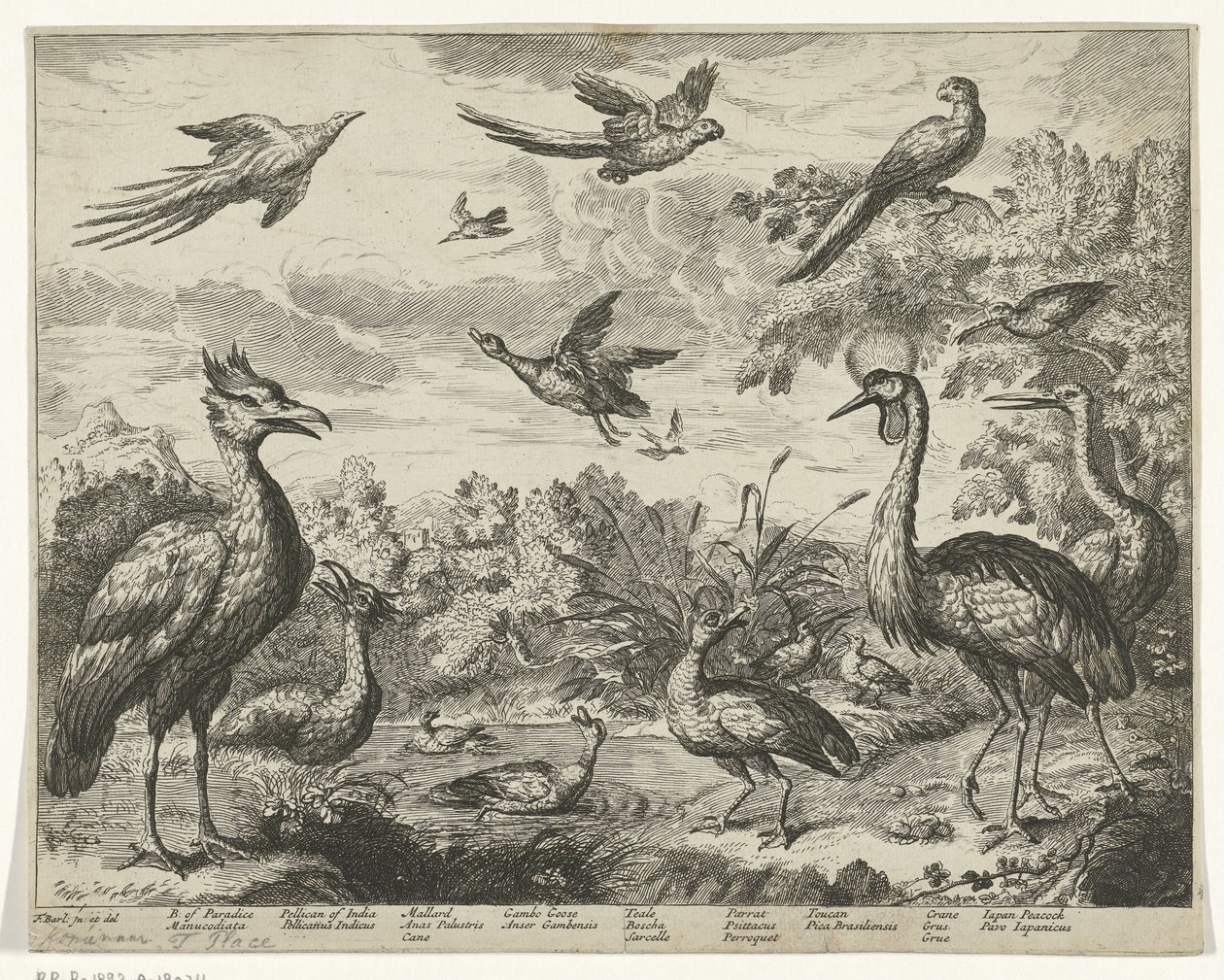 Bir manzarada farklı kuşlar by Jan Griffier (I) (copy after)