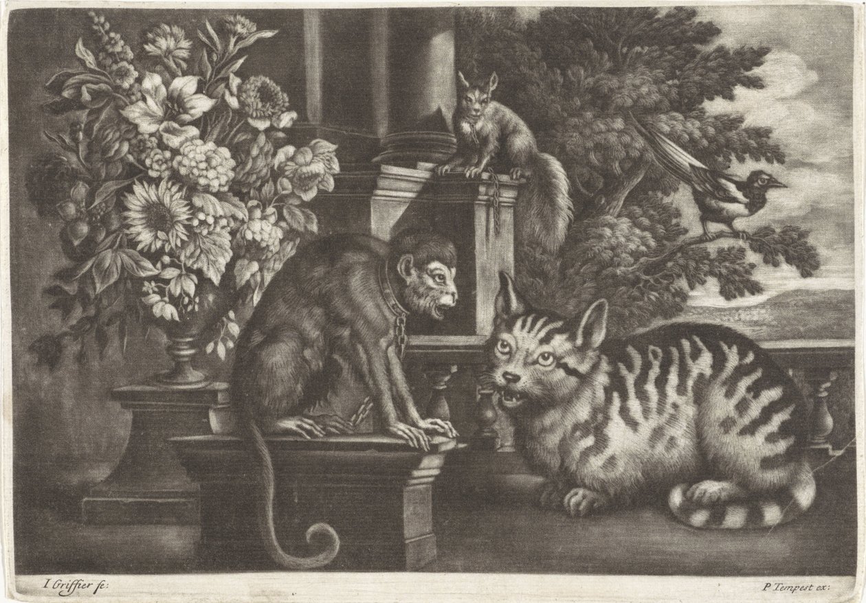 Aap, kat, eekhoorn en ekster by Jan Griffier (I)