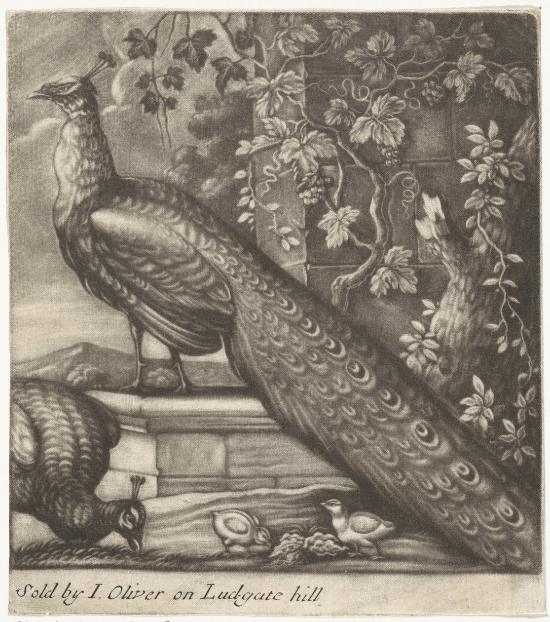 tavus kuşu by Jan Griffier (I)