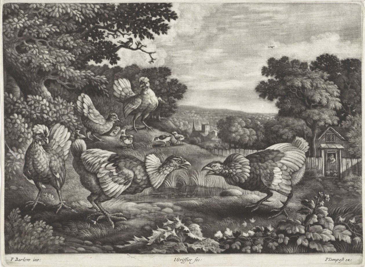 dövüşen tavuklar by Jan Griffier (I)