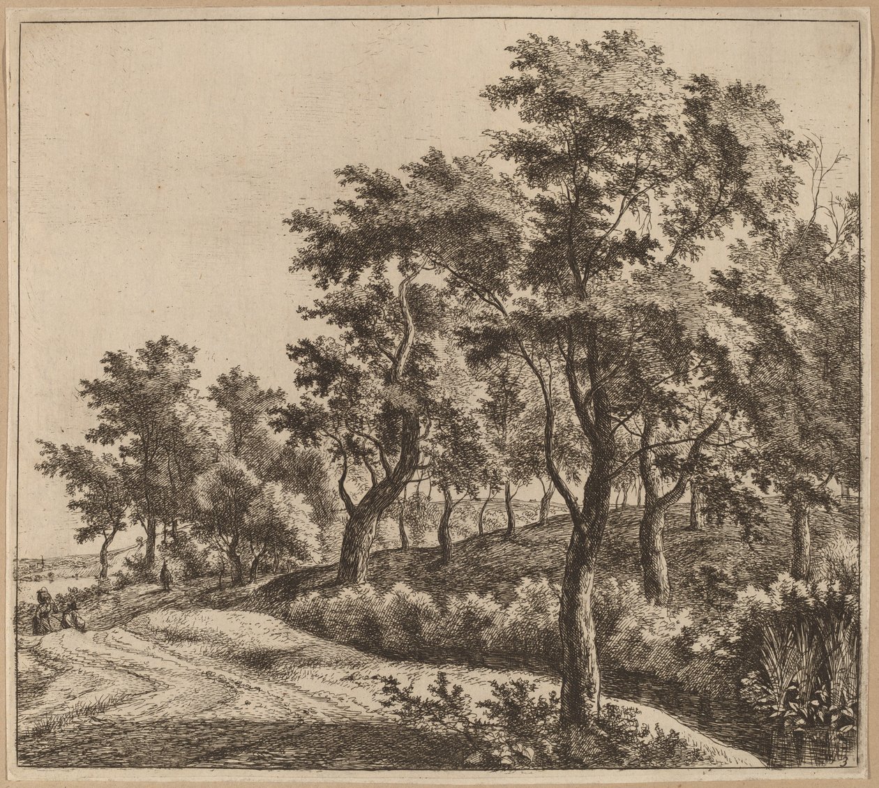 Bir Dere ile Peyzaj by Jan Hackaert
