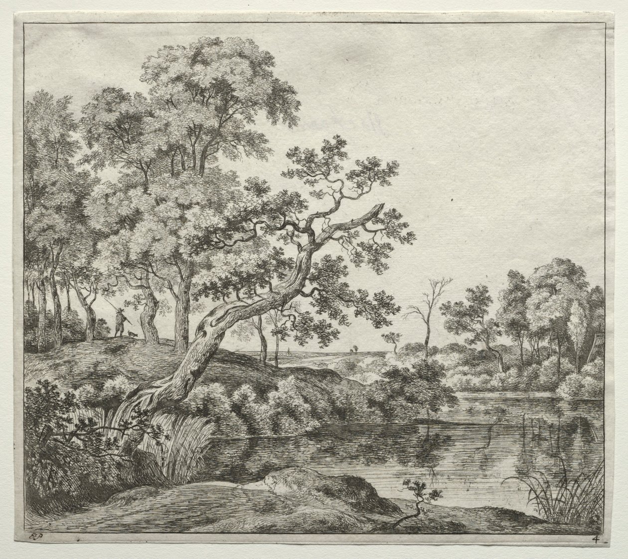  by Jan Hackaert