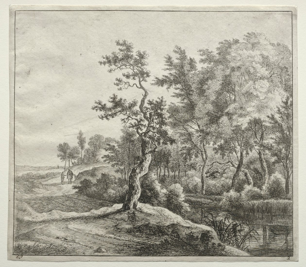  by Jan Hackaert