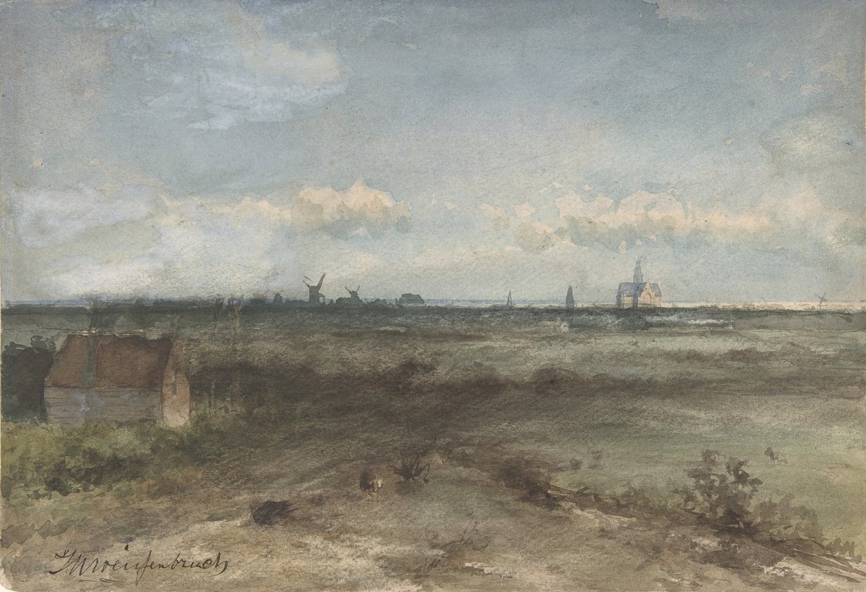 Kum tepelerinden Haarlem