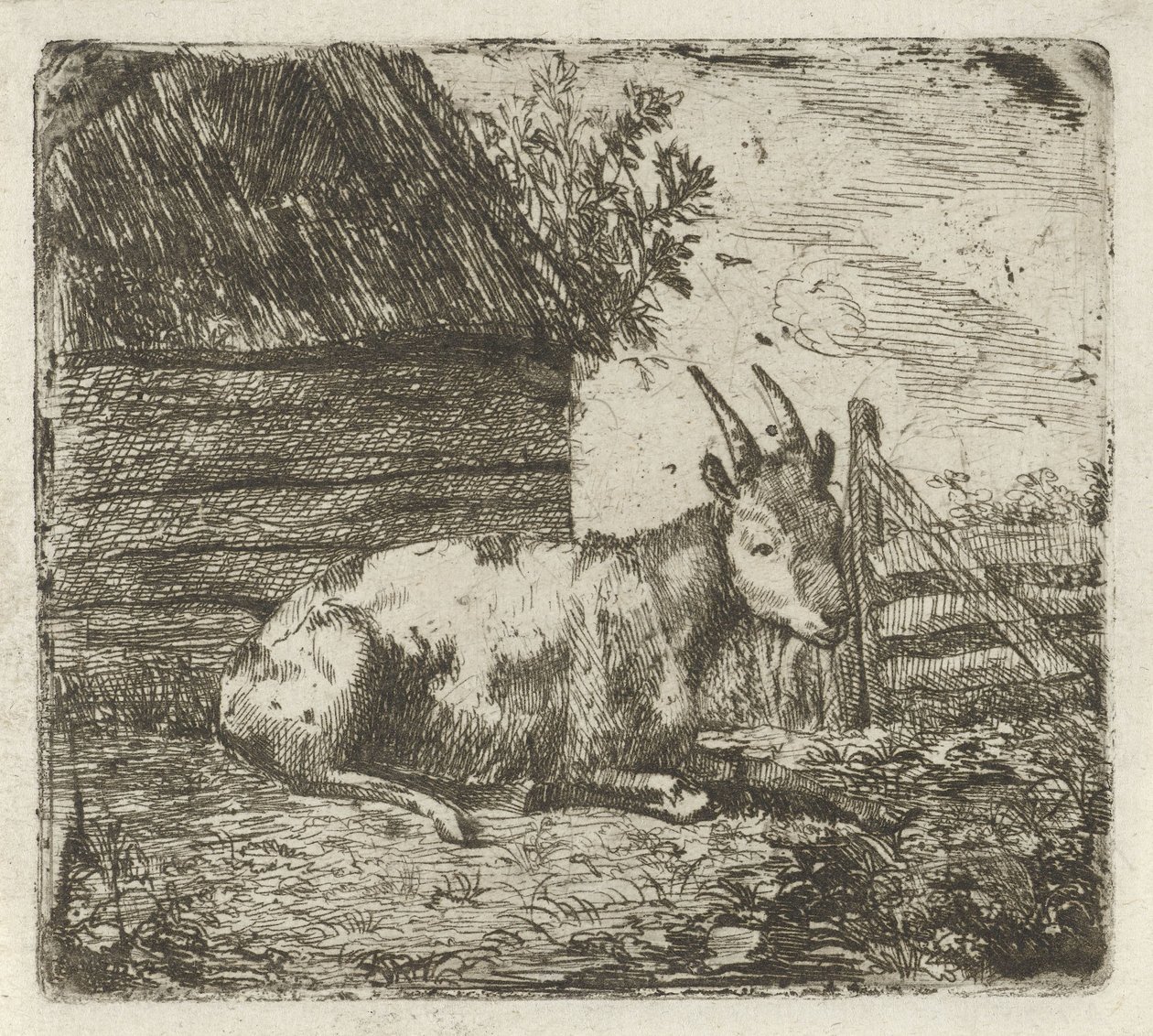 Bir ahırda Buck by Jan Kobell (II)