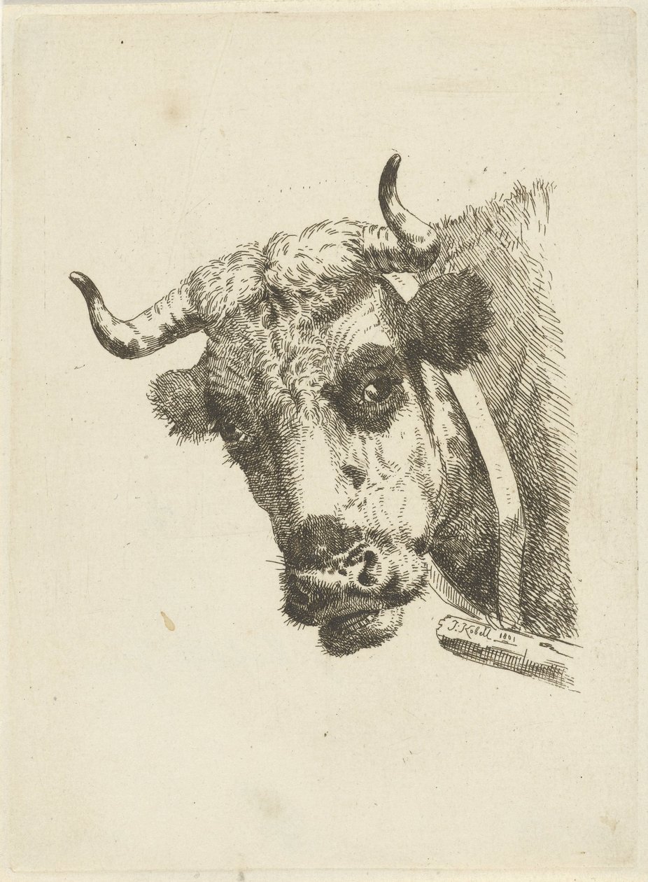 inek başı by Jan Kobell (II)