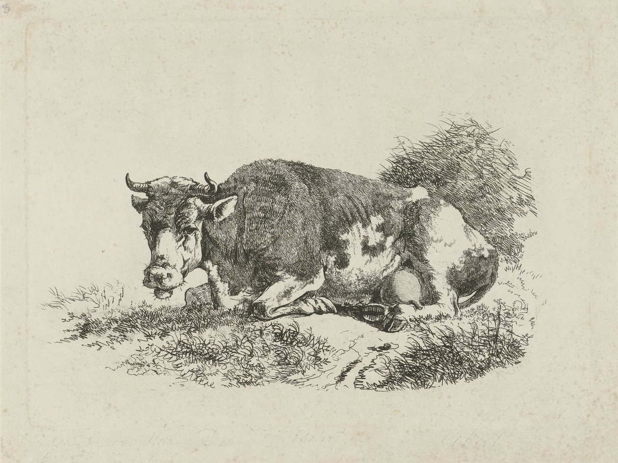yalancı inek by Jan Kobell (III)