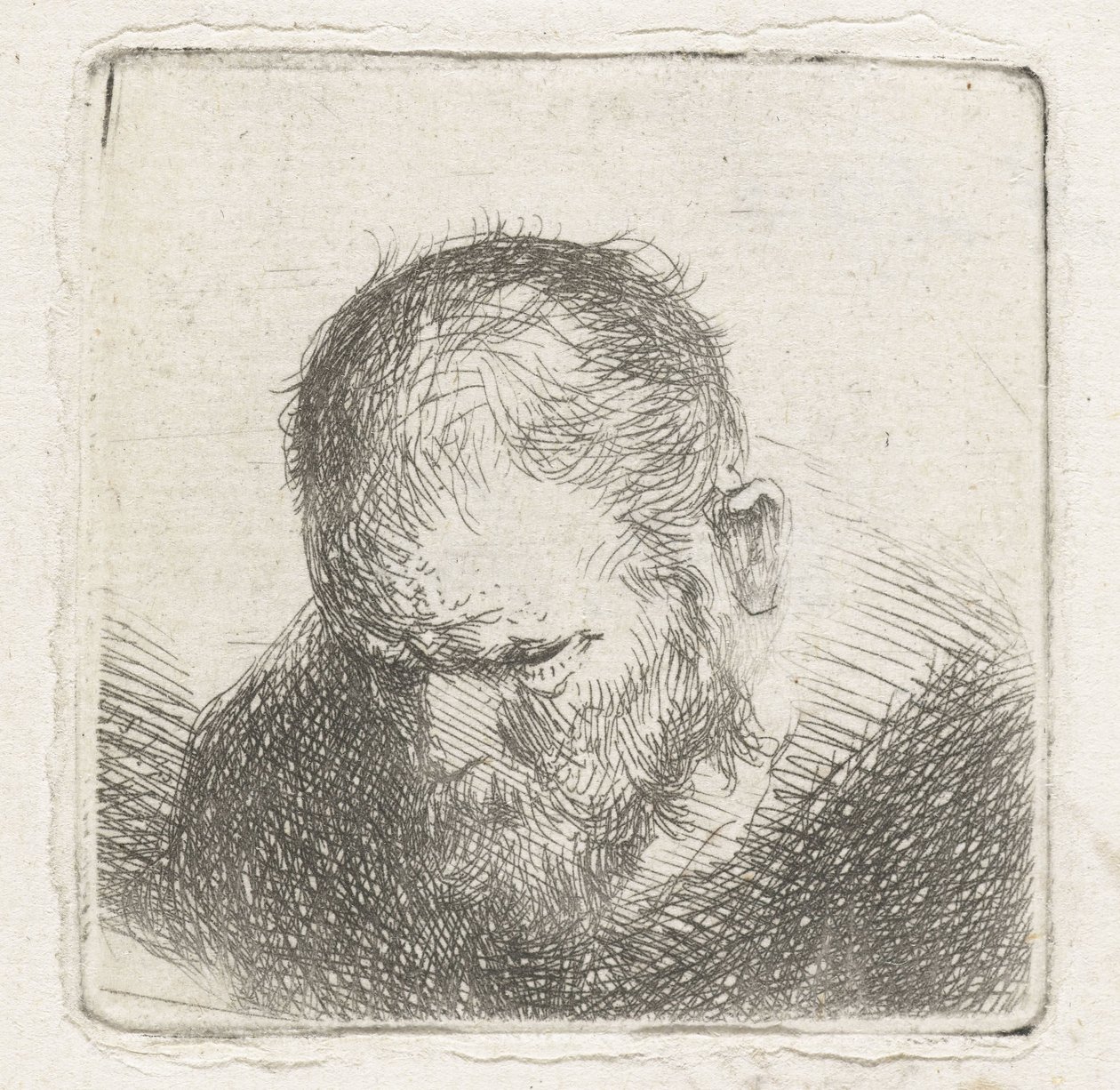 sakallı adam by Jan Lievens (possibly)