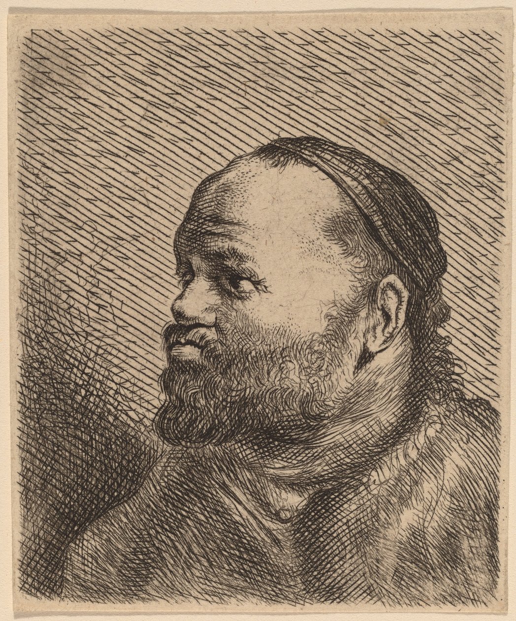 Kalın Dudaklı Bir Adamın Büstü by Jan Lievens