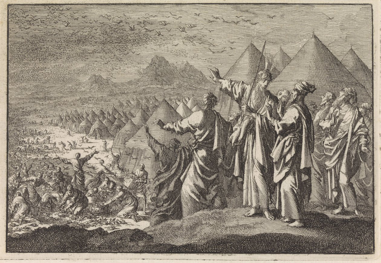 çölde bıldırcın by Jan Luyken
