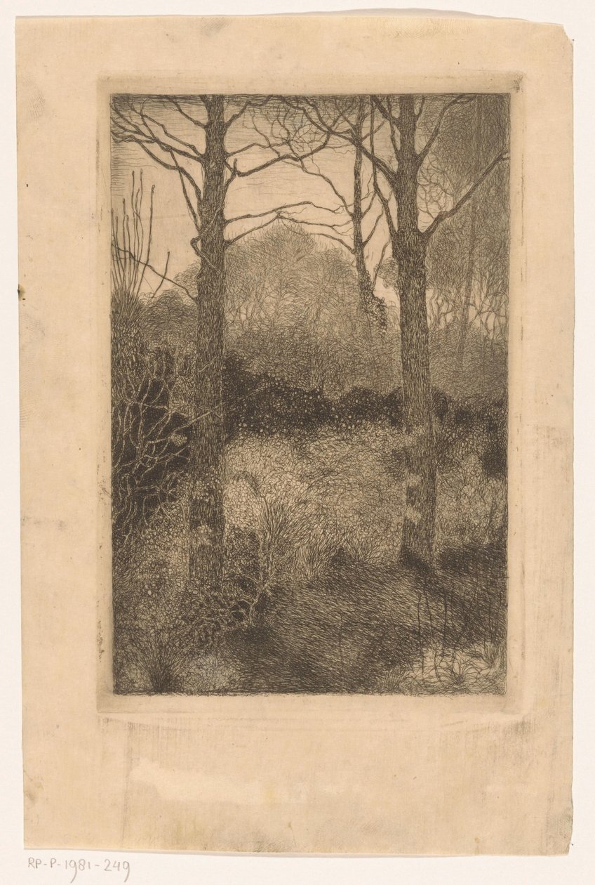 orman kenarı by Jan Mankes