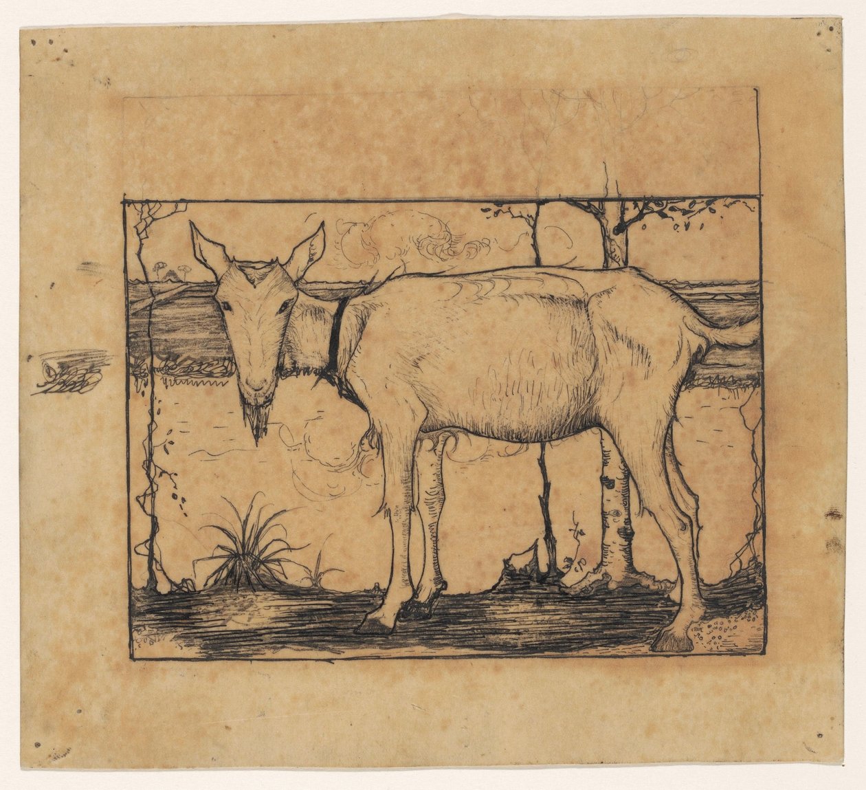 Hendek tarafında keçi by Jan Mankes