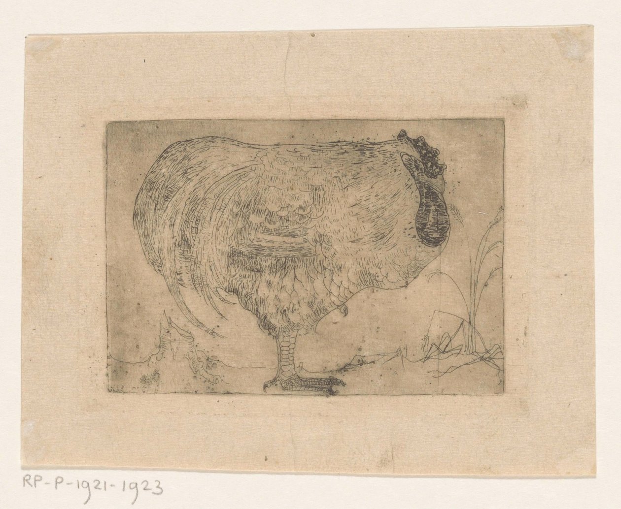 çömelmiş horoz by Jan Mankes