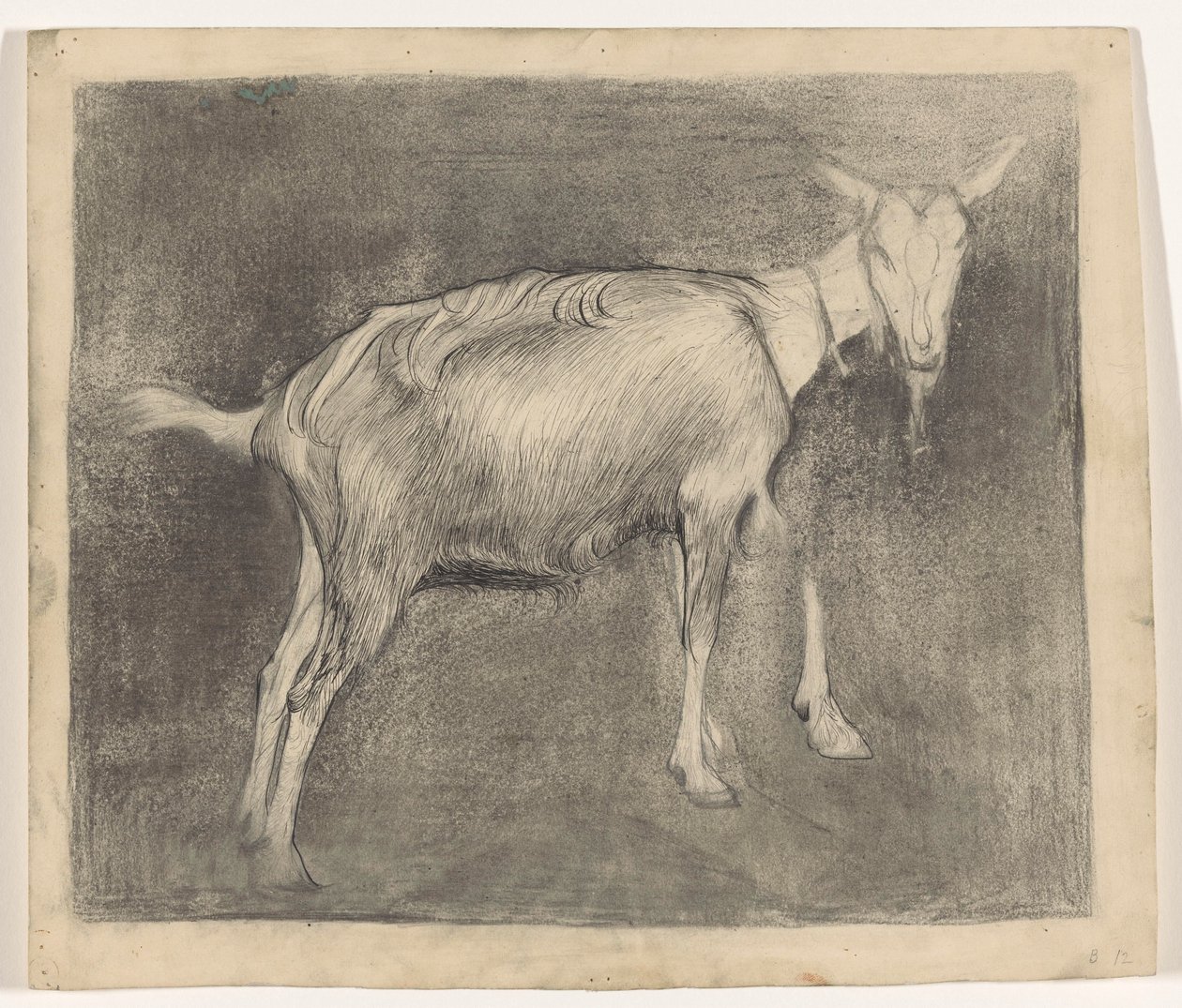 ayakta keçi by Jan Mankes
