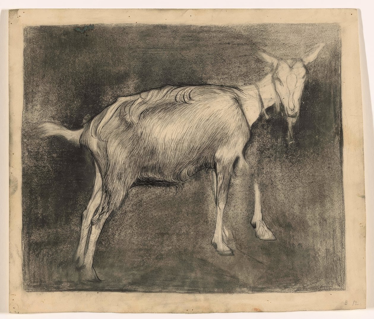 Ayakta keçi, sağda by Jan Mankes