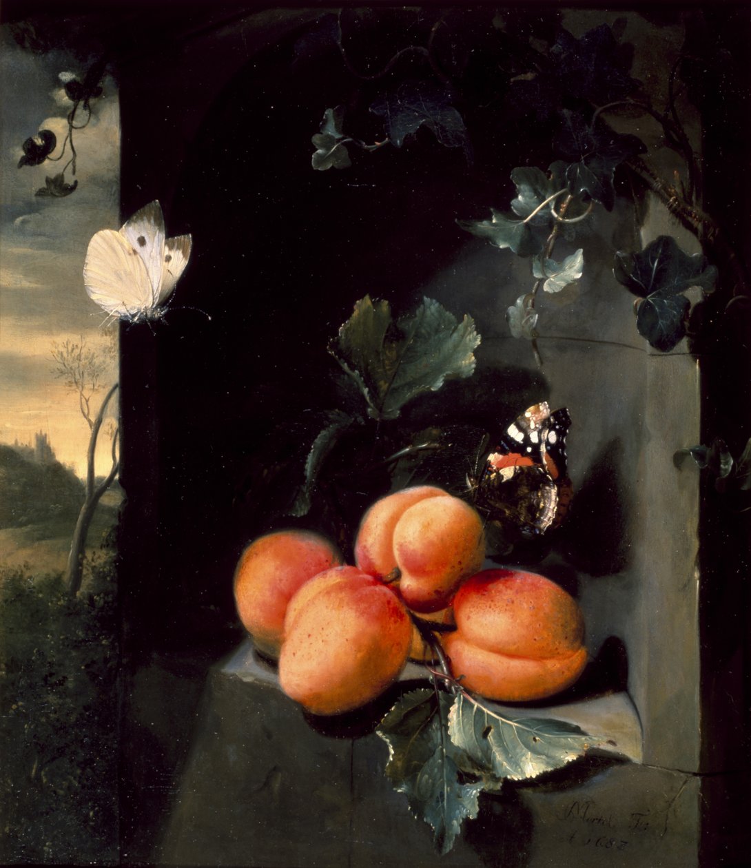 Kayısı ve Kelebekli Natürmort, 1683 by Jan Mortel