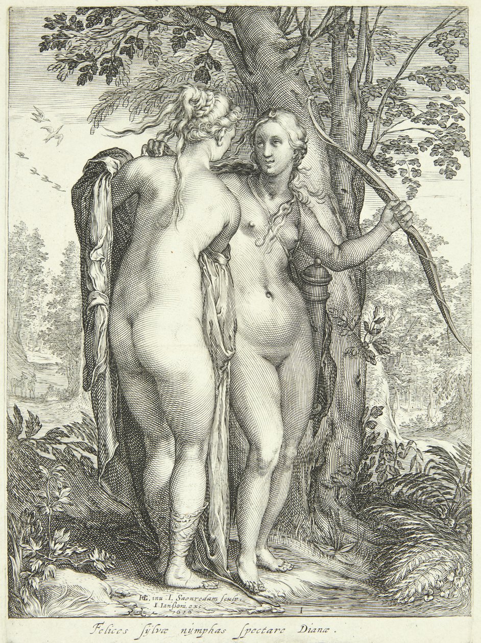 Diana ve bir ağaç perisi by Jan Saenredam