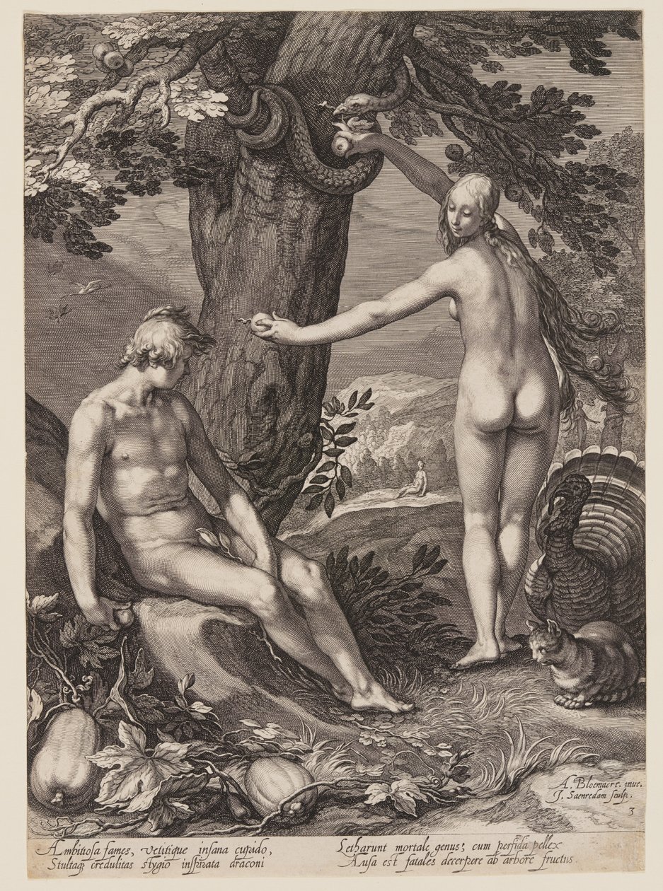 İnsanın Ayartılması, İnsanın İlk Ebeveynlerinin Tarihinden by Jan Saenredam